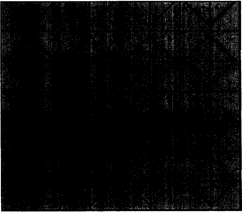 Electromagnetic wave reflecting surface capable of realizing high directionality and multi-frequency band