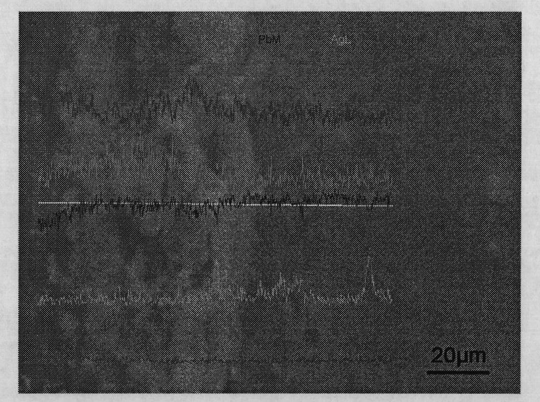 Preprocessing method of lead/lead-alloy inert anode for zinc electrowinning