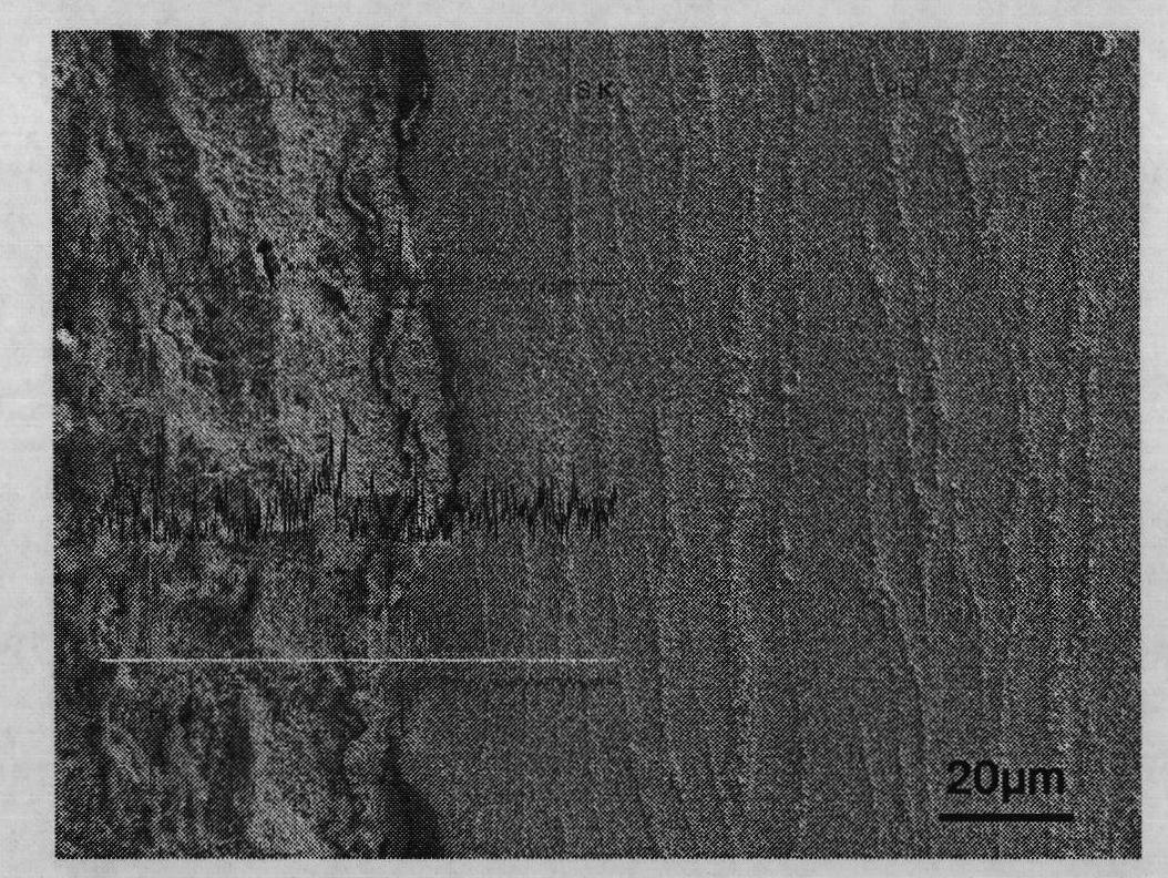 Preprocessing method of lead/lead-alloy inert anode for zinc electrowinning