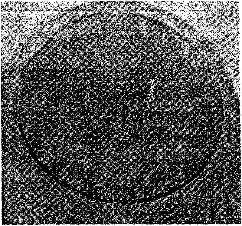 Apparatus for improving hydride vapour phase epitaxy growth GaN material homogeneity