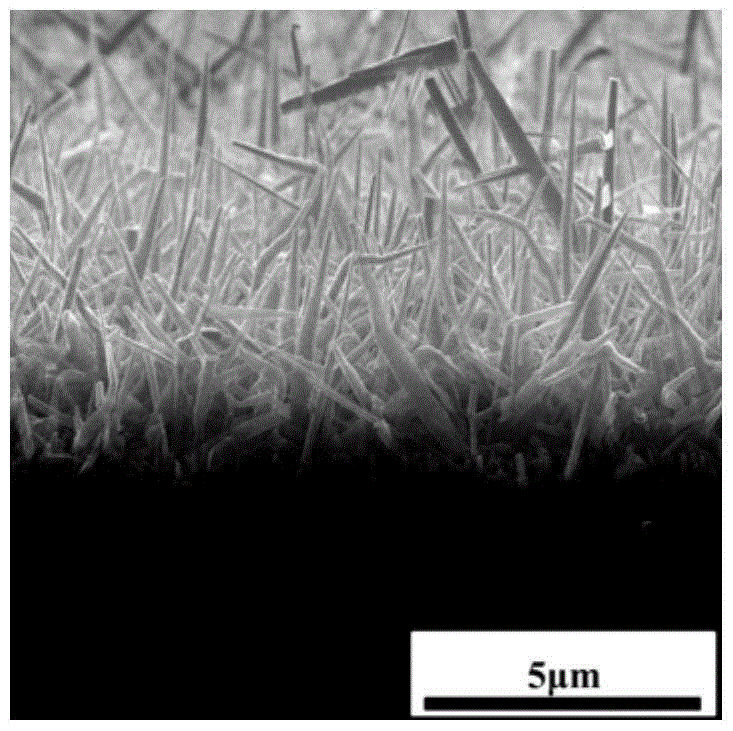 Preparation method of copper-doped ZnO nanorods by pulsed laser deposition