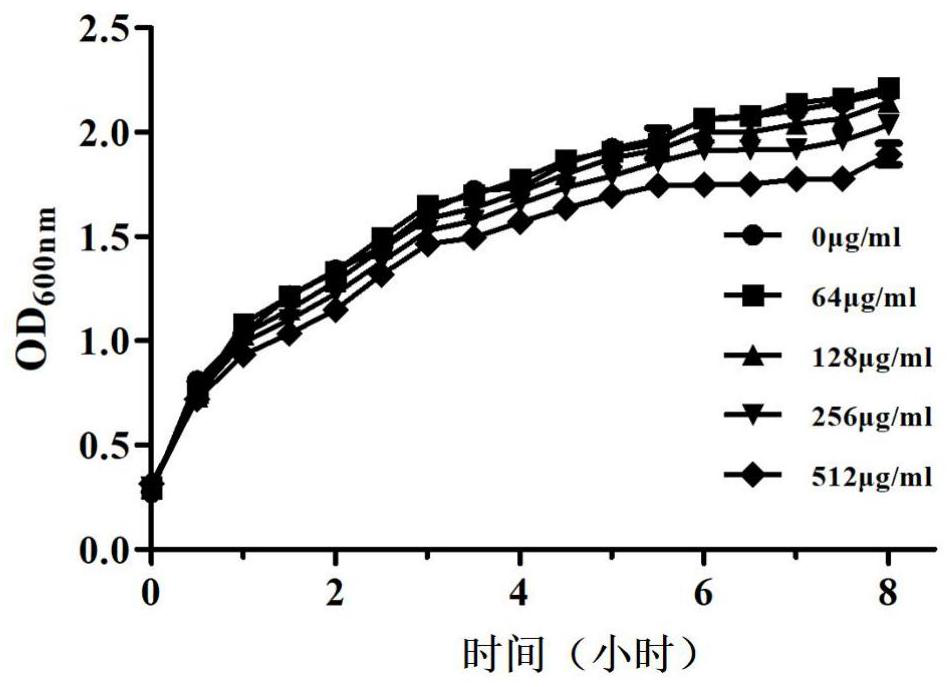 Application of patchoulenone in preparation of MCR-1 enzyme inhibitor