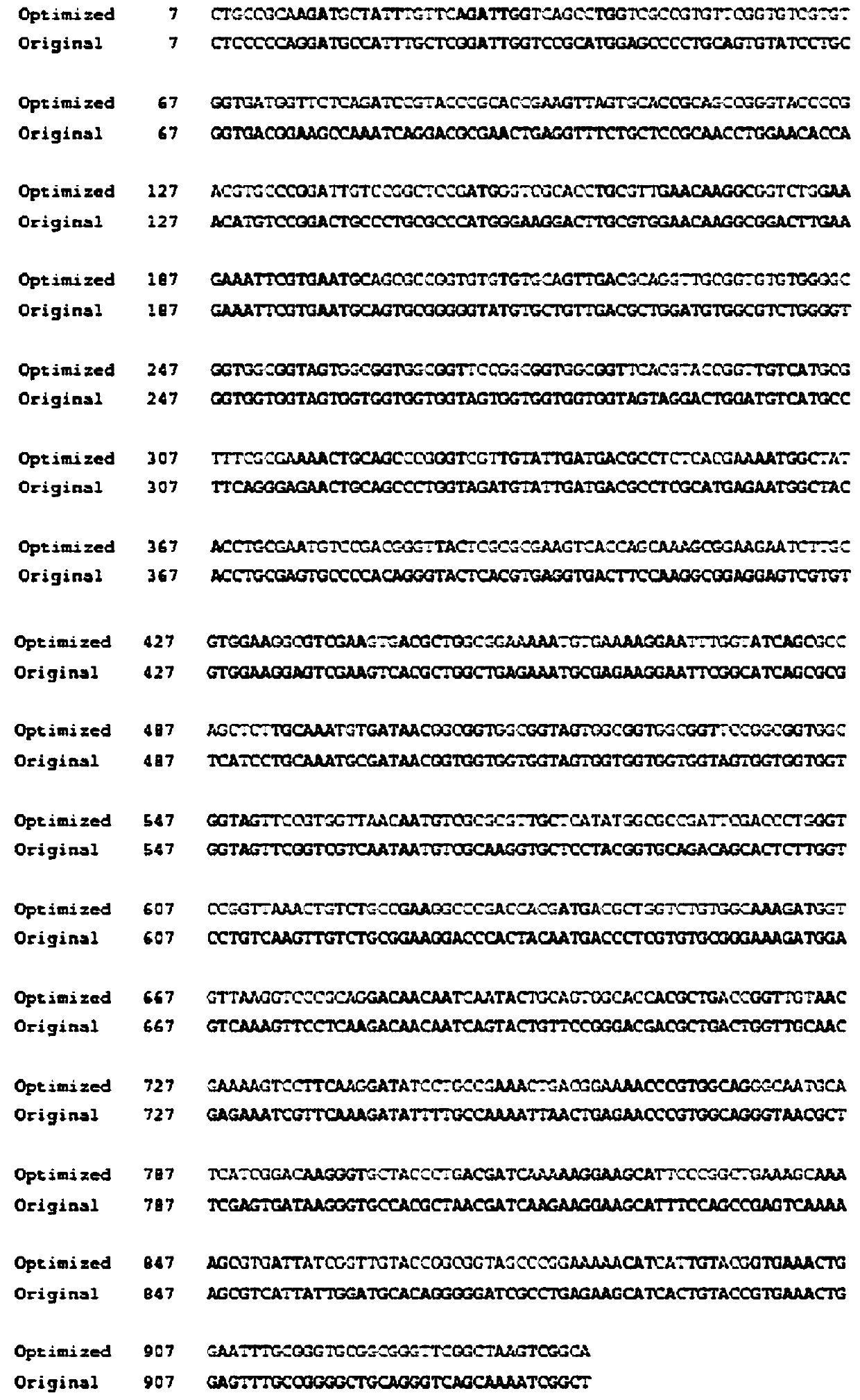 Recombinant protein for detecting toxoplasma gondii and encoding gene of recombinant protein