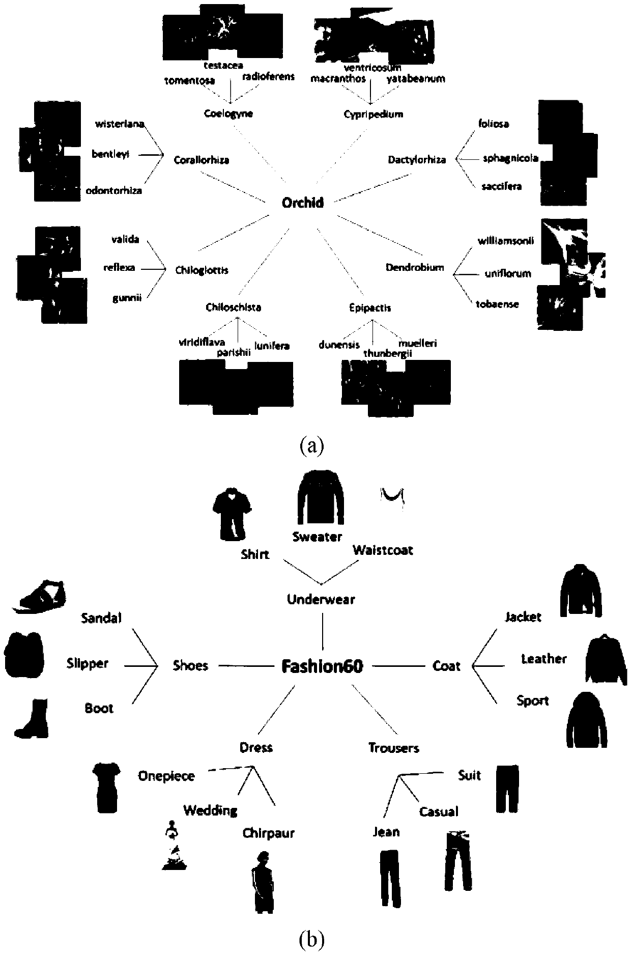 Multi-task Triplet loss function learning method based on semantic hierarchy