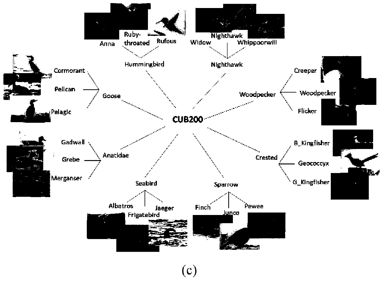 Multi-task Triplet loss function learning method based on semantic hierarchy