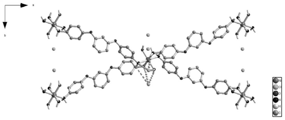 A kind of rhombohedral network coordination polymer based on niii and its preparation method and application