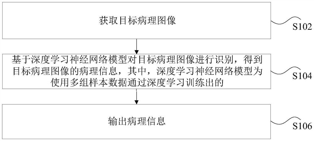 Pathological image processing method and device, storage medium and processor