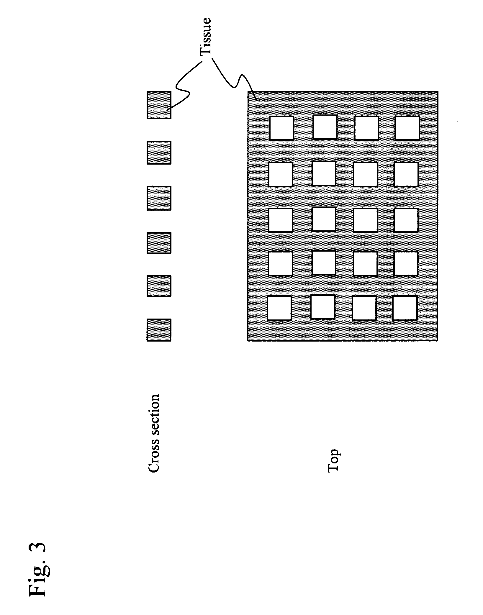 Method for preparing biological tissue