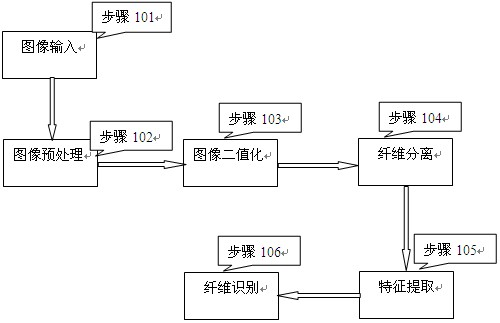 Profiled fiber automatic recognition method based on scale invariability and support vector machine classification