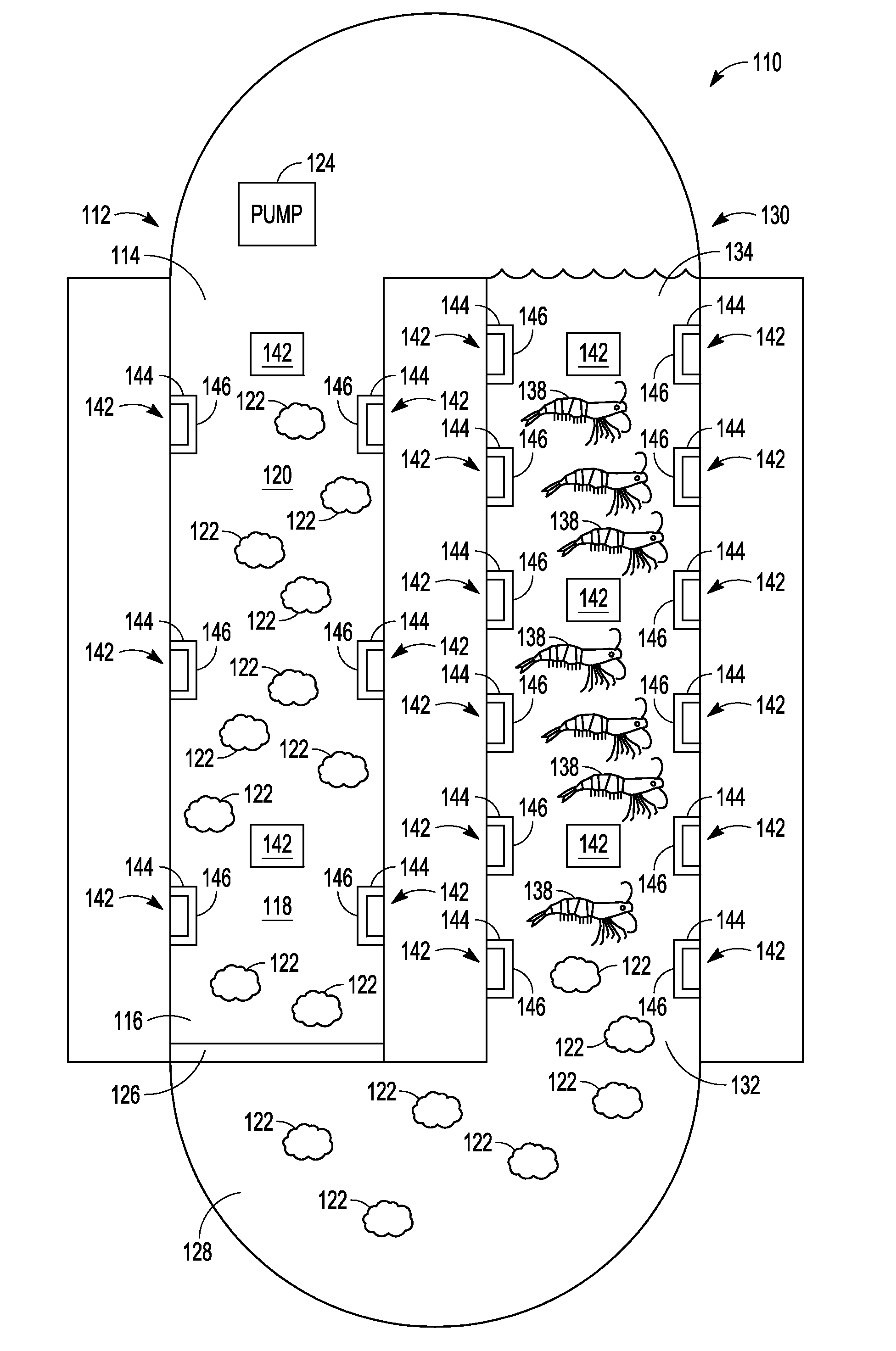 Symbiotic shrimp and algae growth system