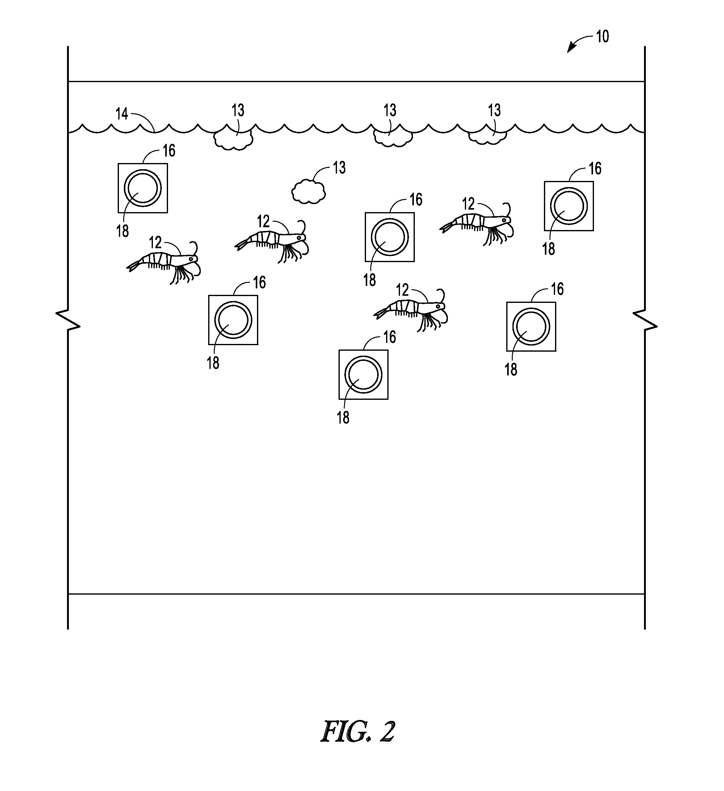 Symbiotic shrimp and algae growth system