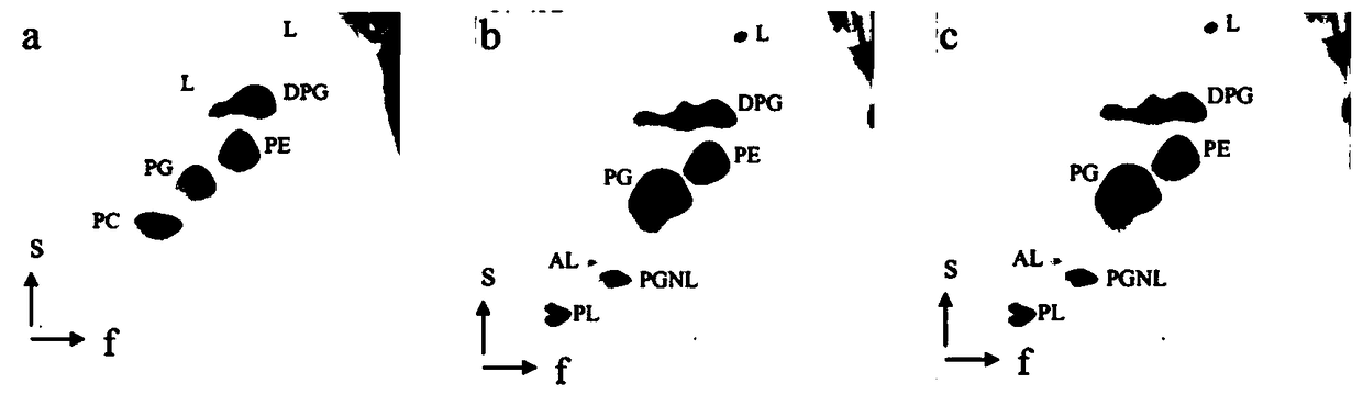 Halophilic denitrifying bacterium YL5-2 and application thereof