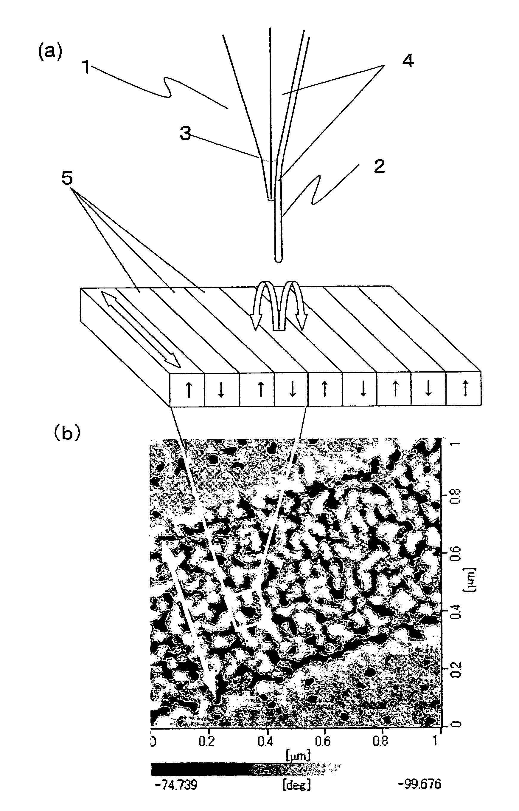 Probe for a scanning magnetic force microscope, method for producing the same, and method for forming ferromagnetic alloy film on carbon nanotubes