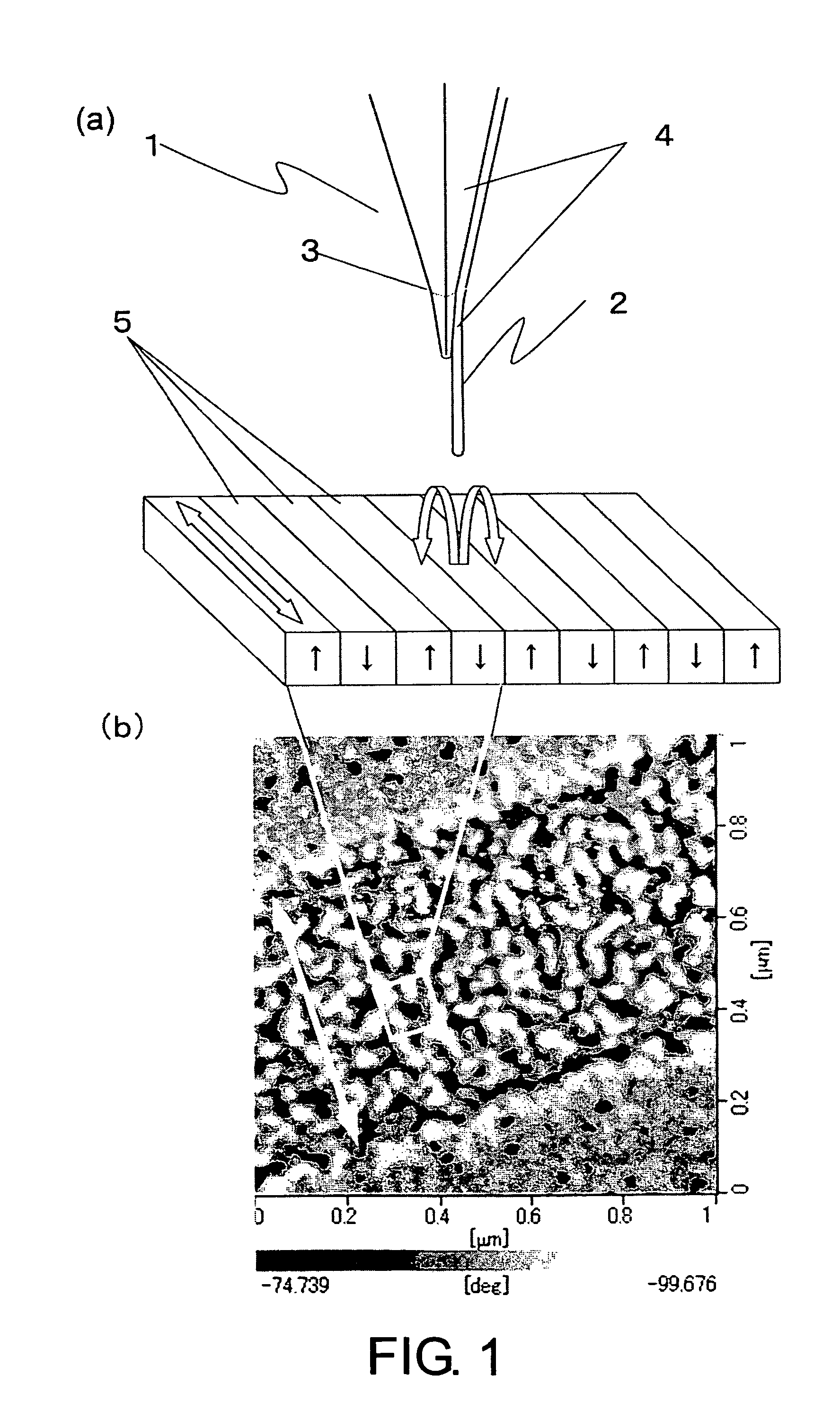 Probe for a scanning magnetic force microscope, method for producing the same, and method for forming ferromagnetic alloy film on carbon nanotubes