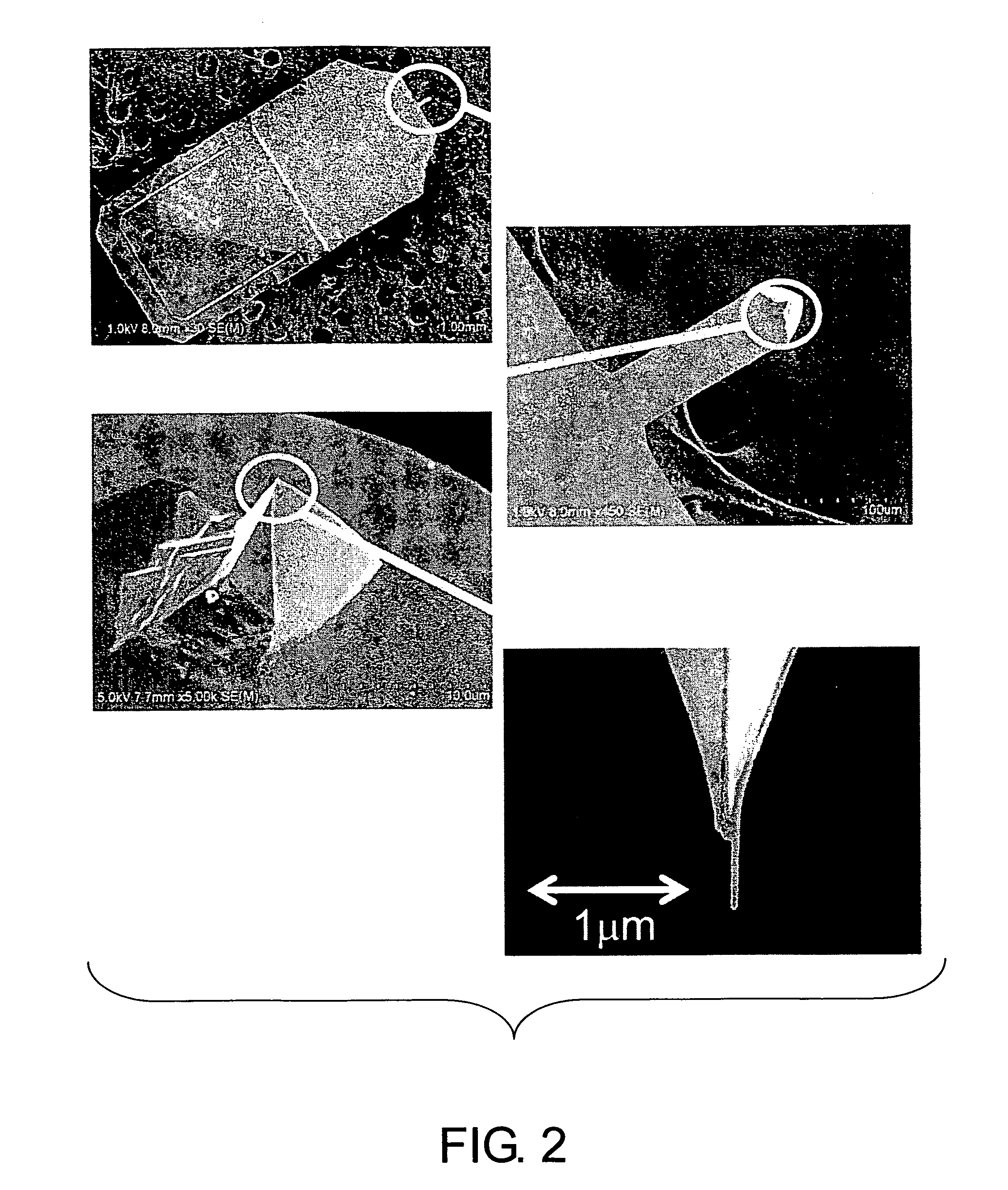 Probe for a scanning magnetic force microscope, method for producing the same, and method for forming ferromagnetic alloy film on carbon nanotubes