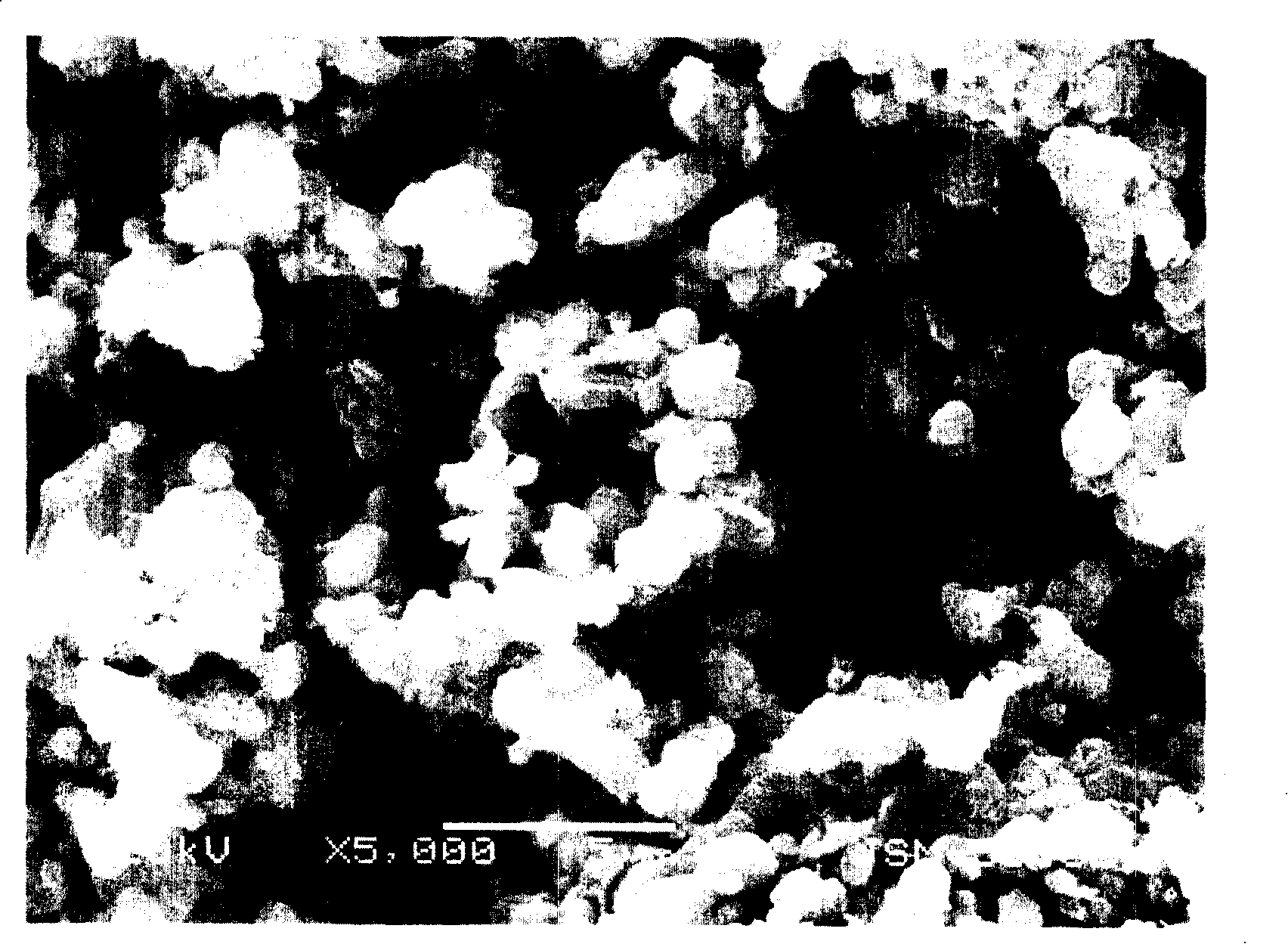 Preparation method for lithium ion secondary battery positive pole active substance lithium iron phosphate