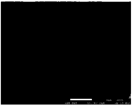 Carbon nano onion/titanium dioxide/silicon dioxide composite photocatalytic material as well as preparation method and application thereof