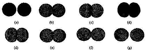 Direct tracking method for pore scale motion of polymer gel particles