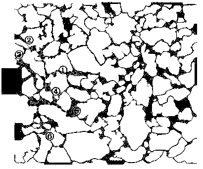 Direct tracking method for pore scale motion of polymer gel particles