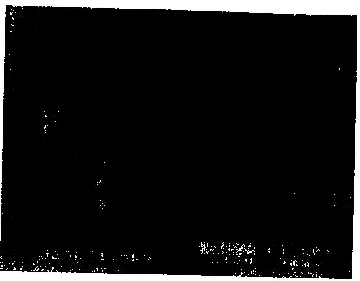 Method for avoiding ZEP520 electronic resist to generate cracks