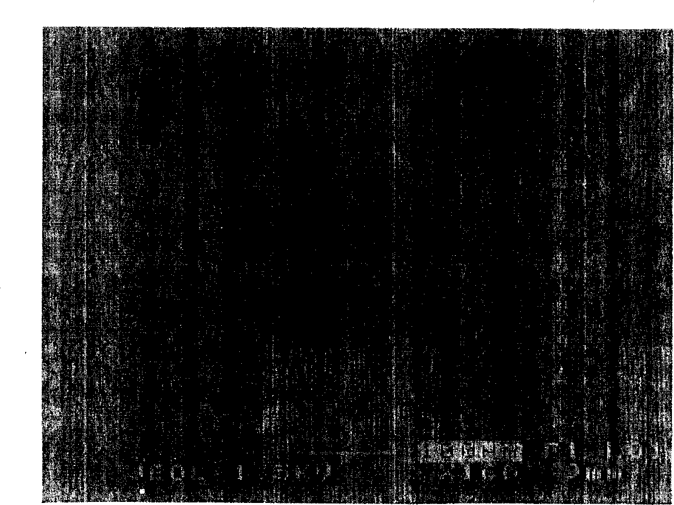 Method for avoiding ZEP520 electronic resist to generate cracks