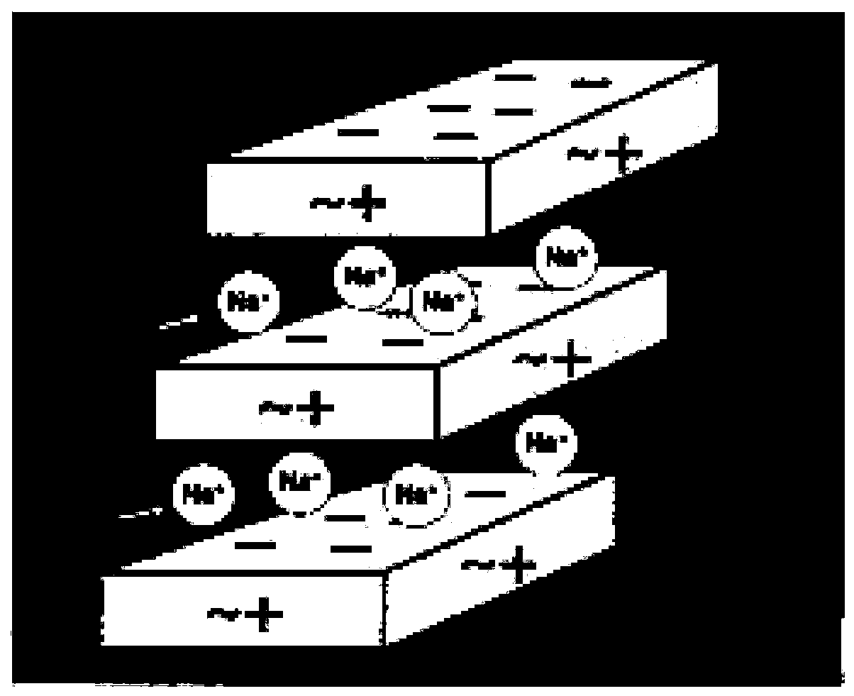 A kind of sunscreen spray and preparation method thereof