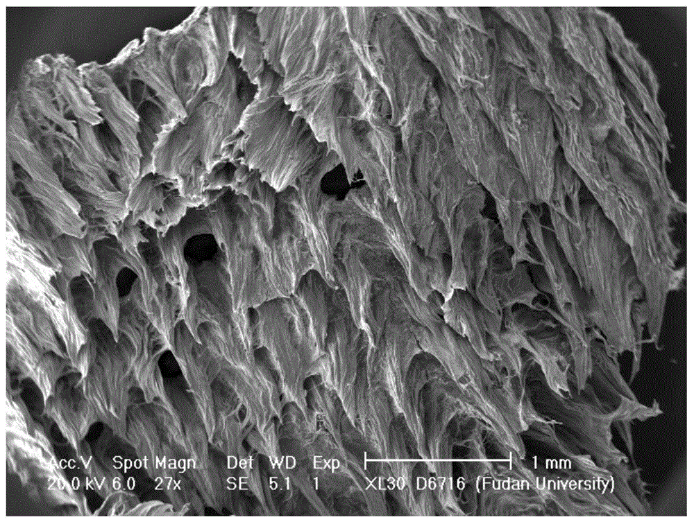 A kind of preparation method of germanium oxide nanowire