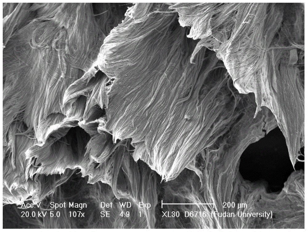 A kind of preparation method of germanium oxide nanowire