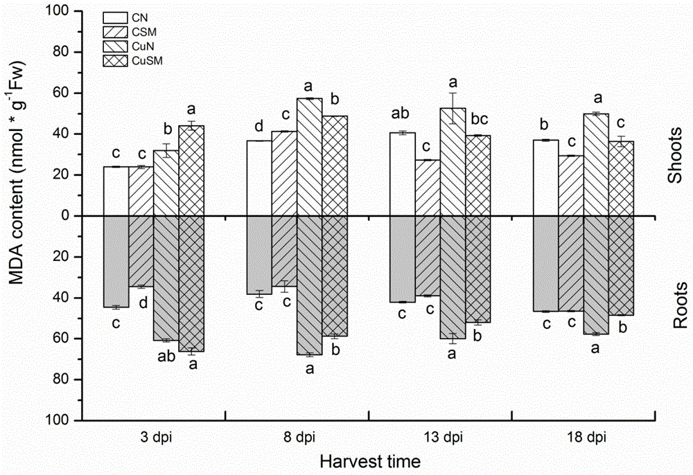 Application of Sinorhizobium meliloti CCNWSX0020