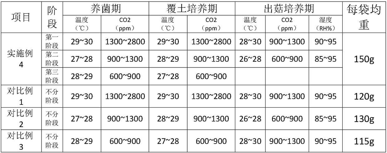 Cultivation culture medium, preparation method and factoryized strain bag cultivation method of phlebopus portentosus