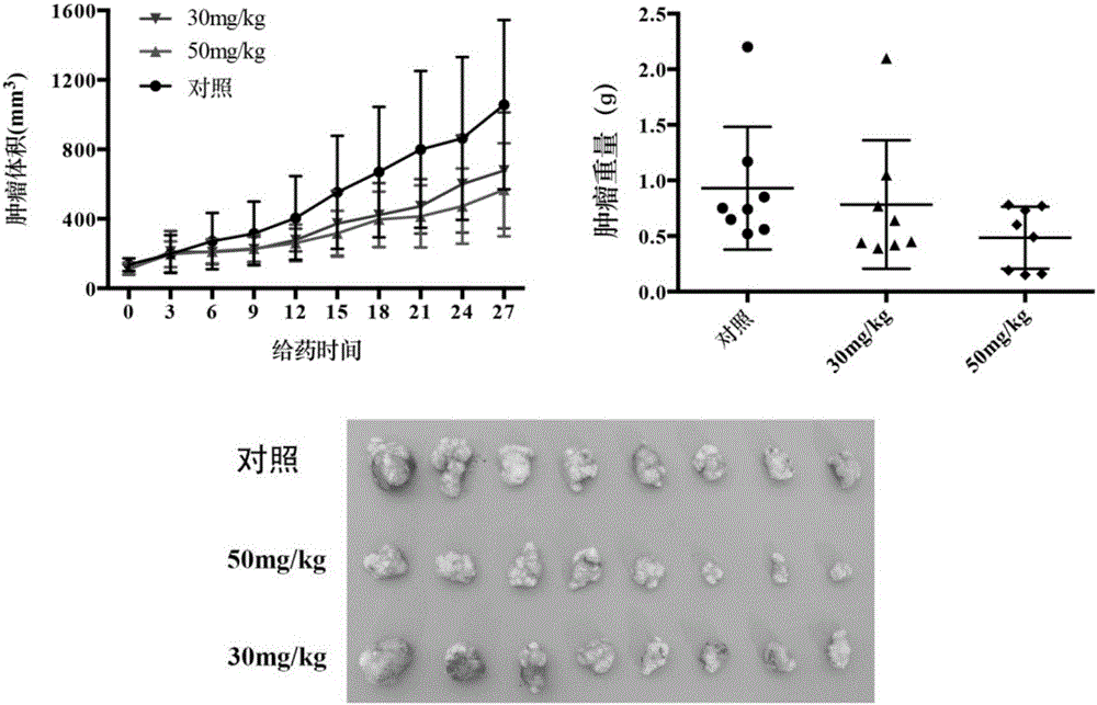 Indene-1-subunit sulfonyl benzoyl hydrazine derivative as well as preparation method and application thereof