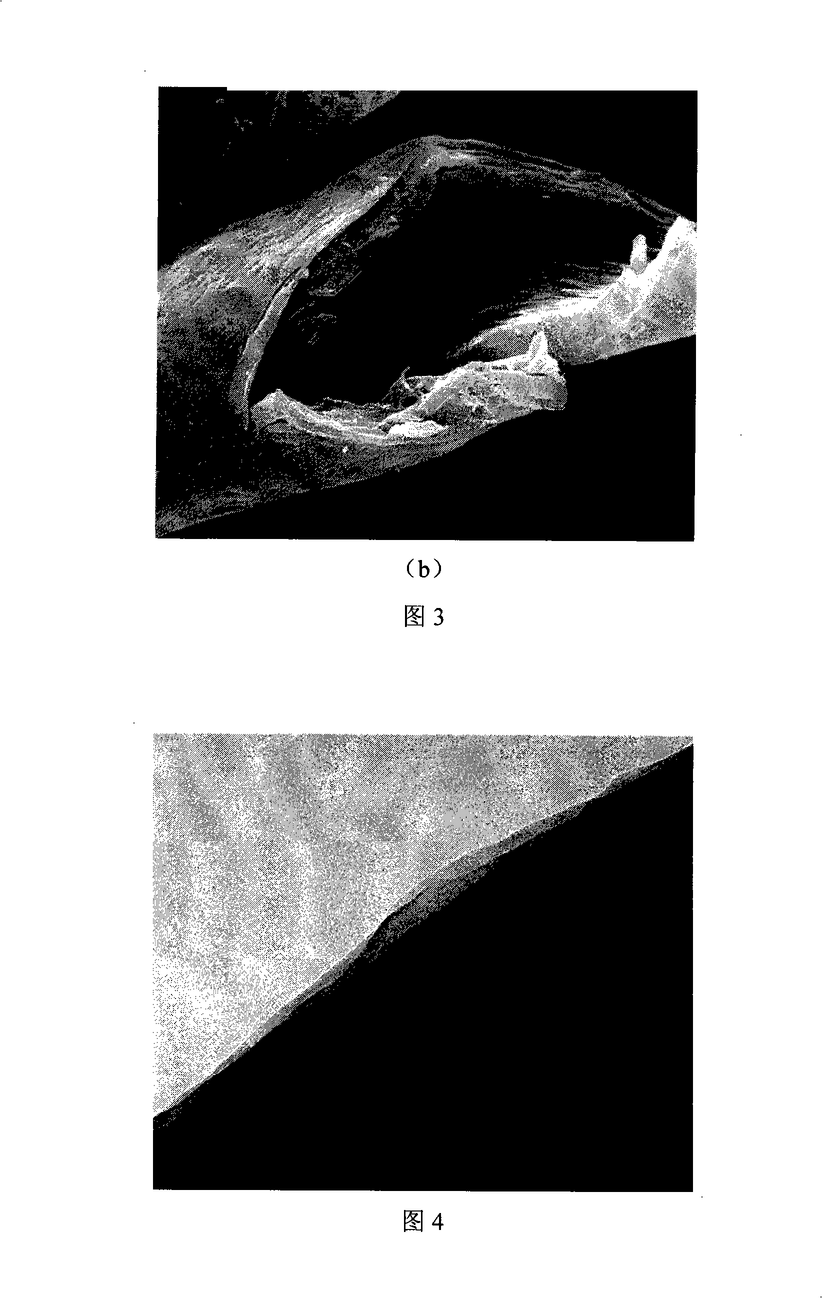 Method for preparing organic or inorganic composite fiber material with supercritical carbonic anhydride