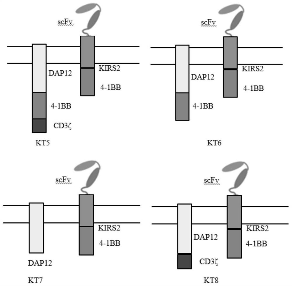 Synergistic and depletion-resistant chimeric antigen receptor T cell and application thereof in preparation of medicine for treating tumors