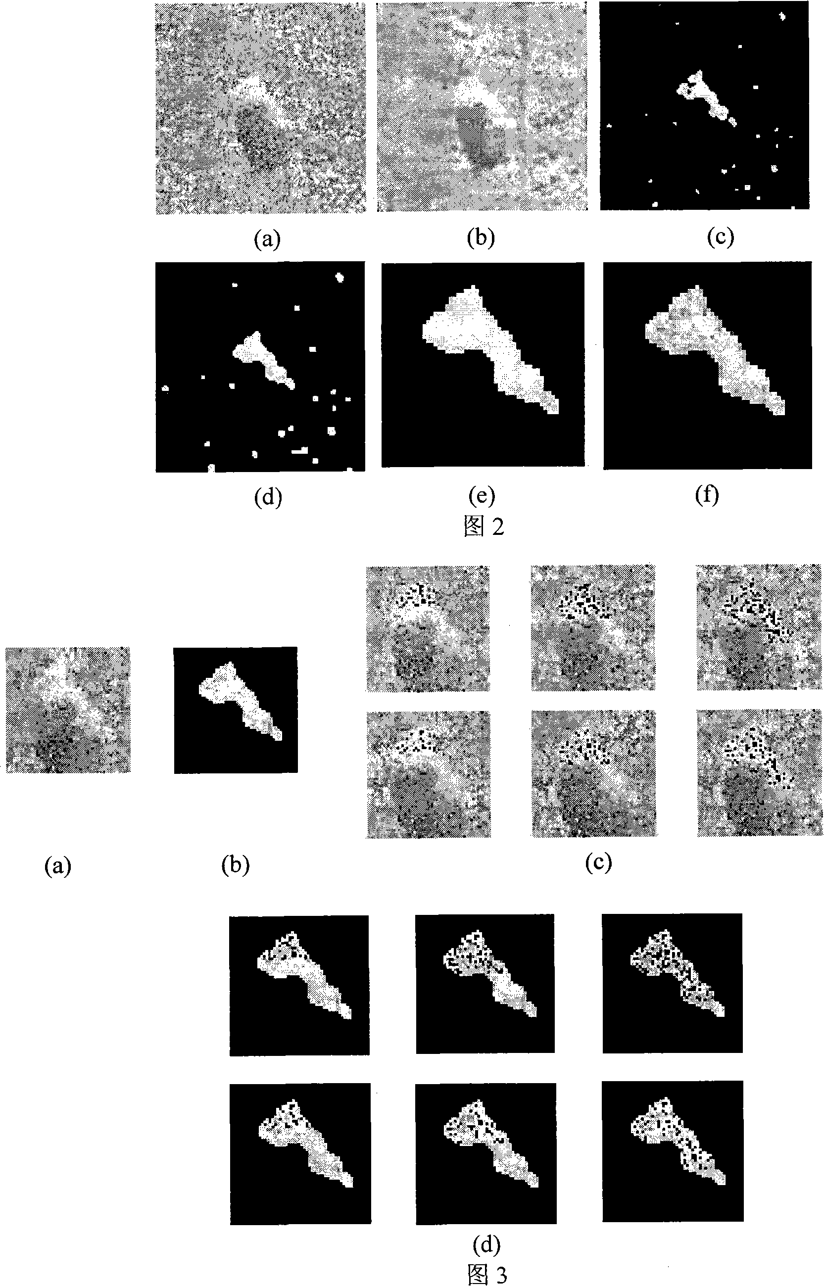 Method for synthetic aperture radar shelter from shelter from object identification based on supporting vector machine