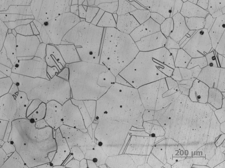 Forging process method for refining austenitic stainless steel grains