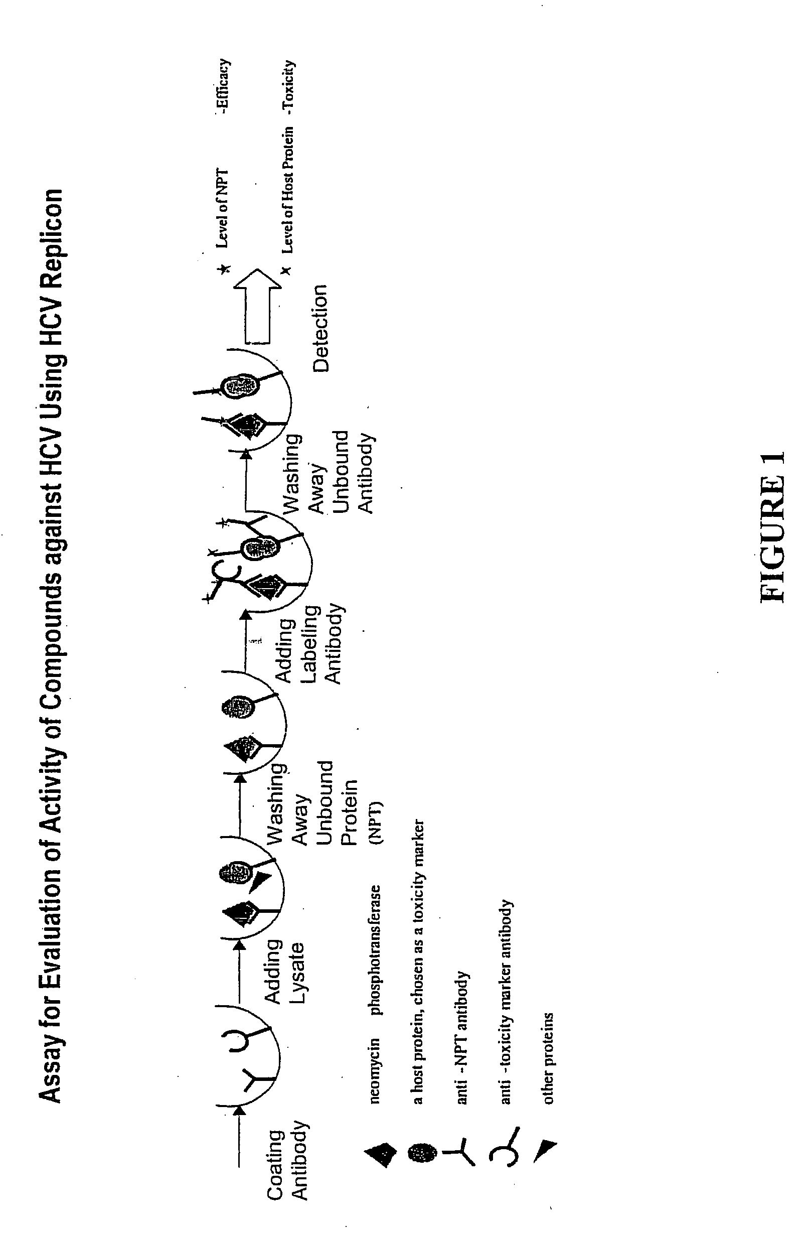 Substituted aryl thioureas and related compounds; inhibitors of viral replication