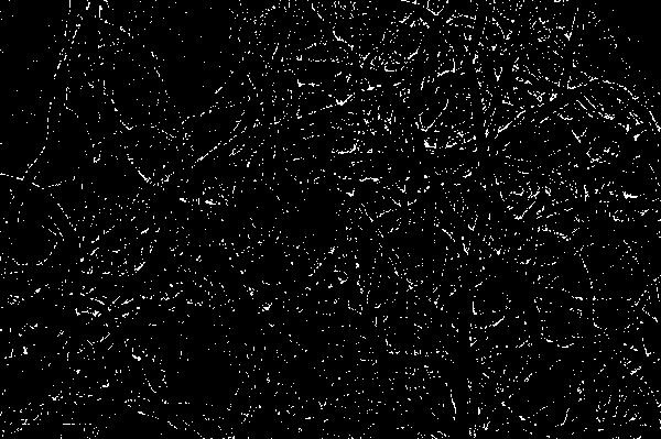 Lubricating oil containing surface modified carbon nanomaterials and preparation method thereof