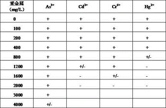 Anti-antimony bacteria NXH2 and applications thereof