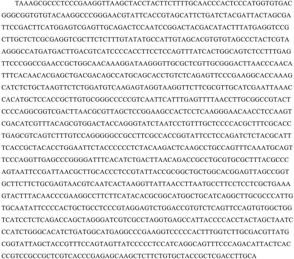 Anti-antimony bacteria NXH2 and applications thereof