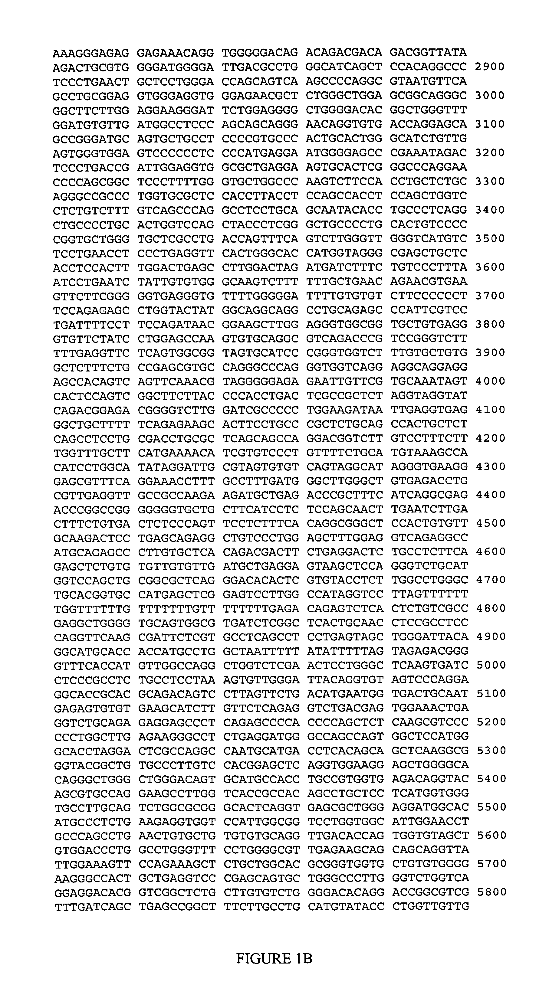 LRPAP1 genetic markers associated with galantamine