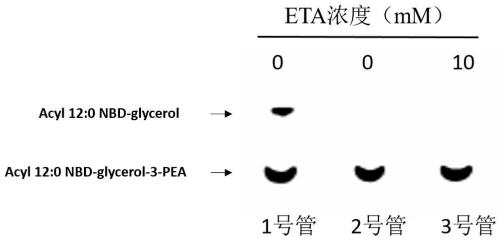 A small molecule inhibitor of polymyxin-resistant protein and its application