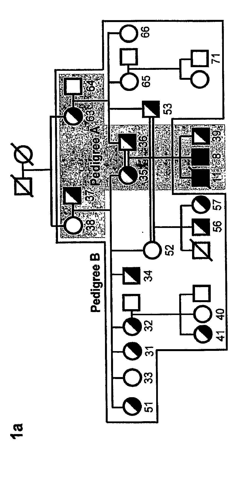 Regulators of NFAT