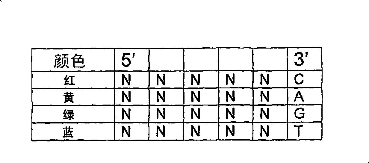 Reagents, methods, and libraries for gel-free bead-based sequencing