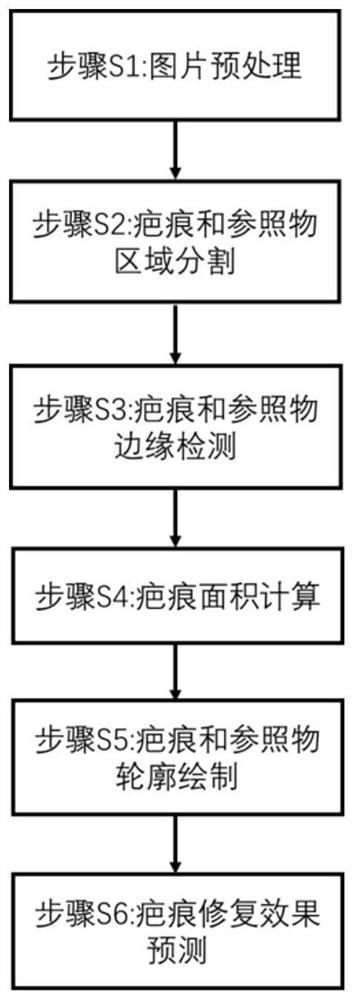 Method and system for scar and keloid image cutting and surface area calculation