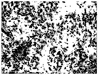 Inactivated lactobacillus effervescent tablets and preparation method thereof