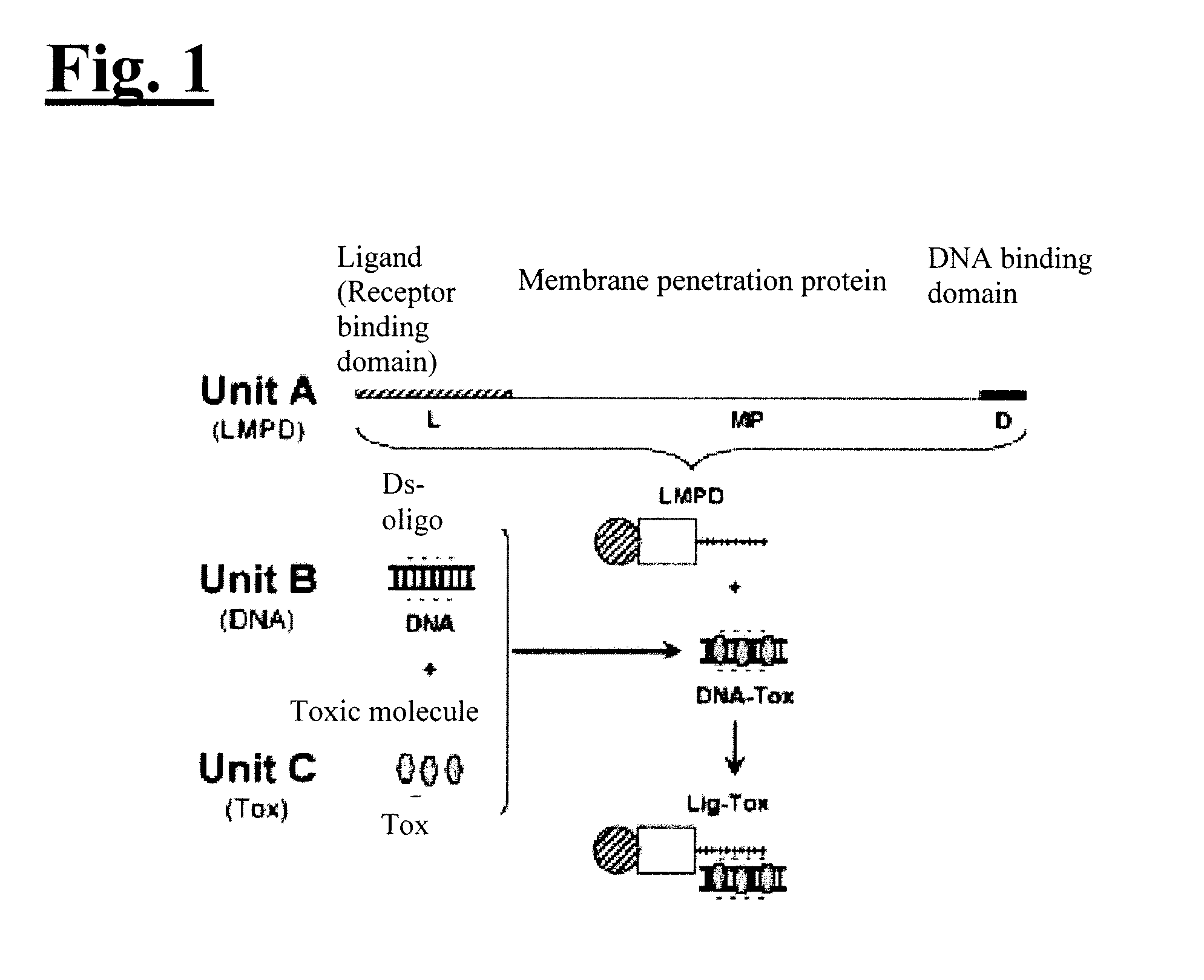 Self-assembling complex for targeting chemical agents to cells