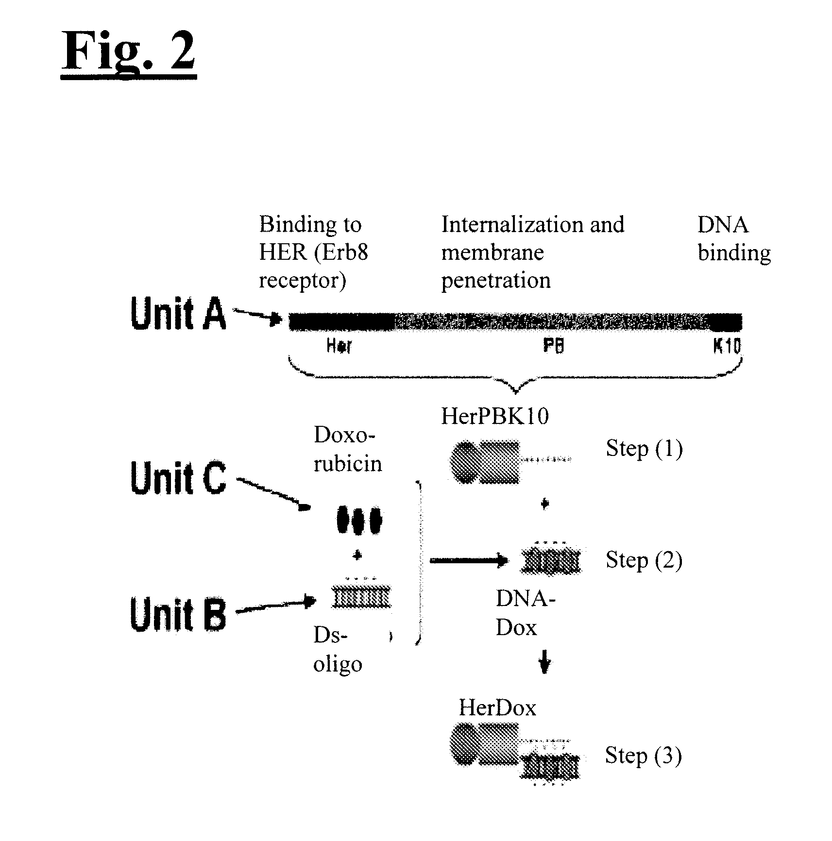 Self-assembling complex for targeting chemical agents to cells