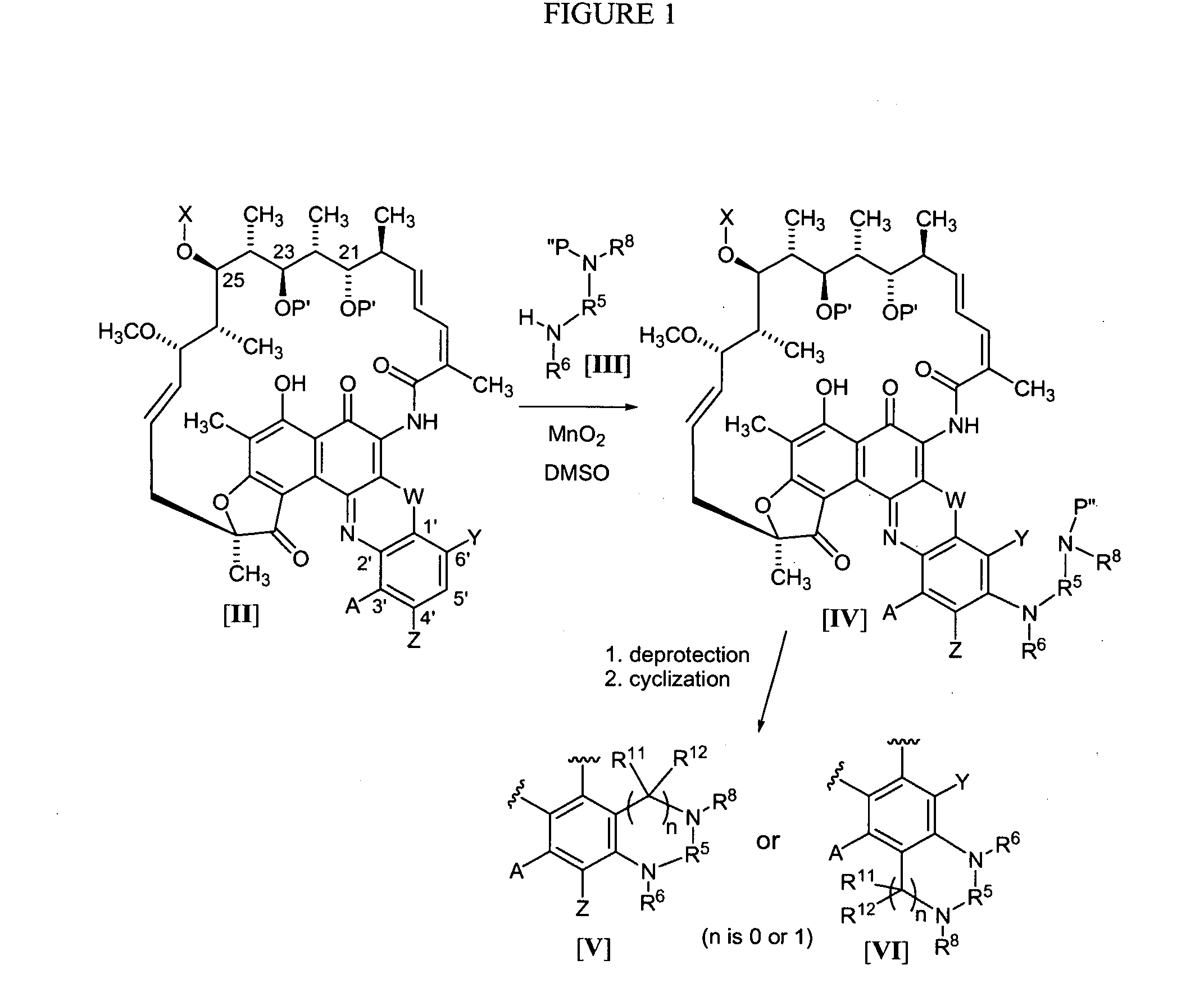 Rifamycin analogs and uses thereof