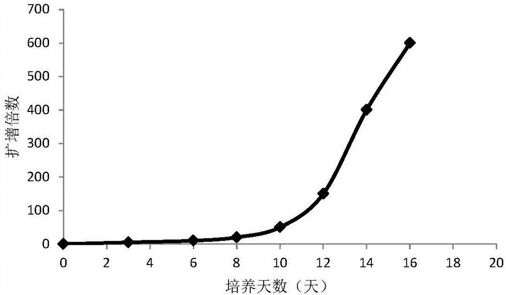 Cell culture method