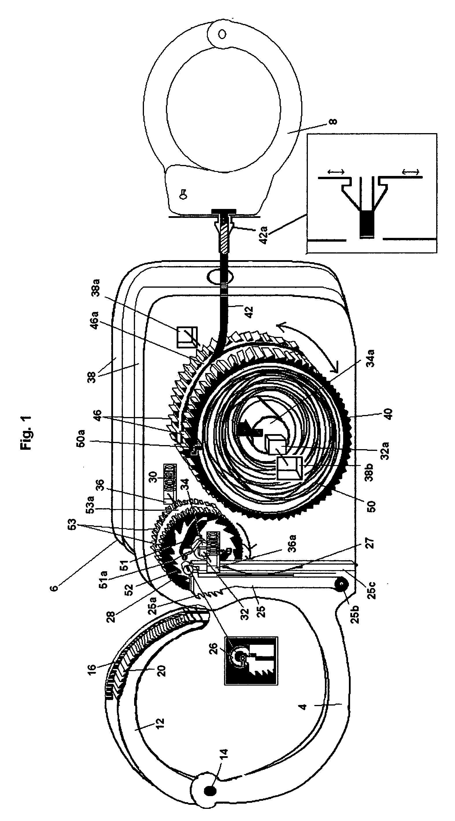 Restraint device